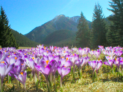 75% Polaków nie wyjedzie w tym roku na Majówkę.